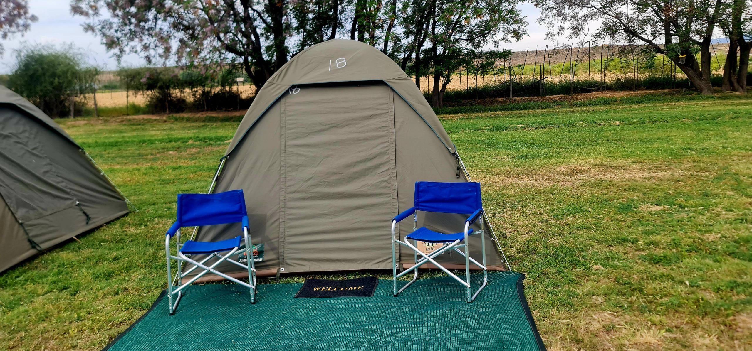 Tent Rental