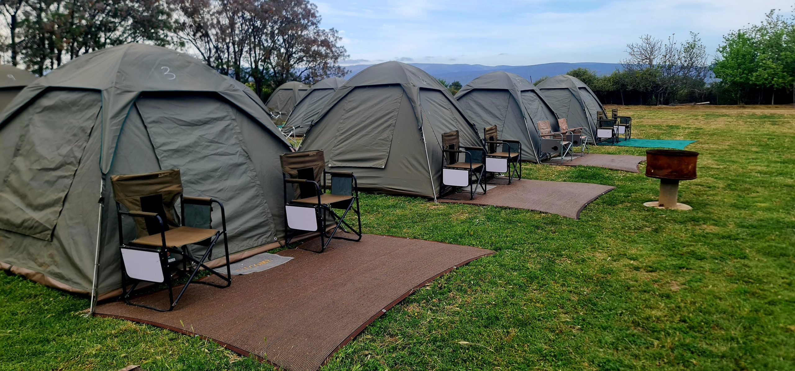 Tent Rental