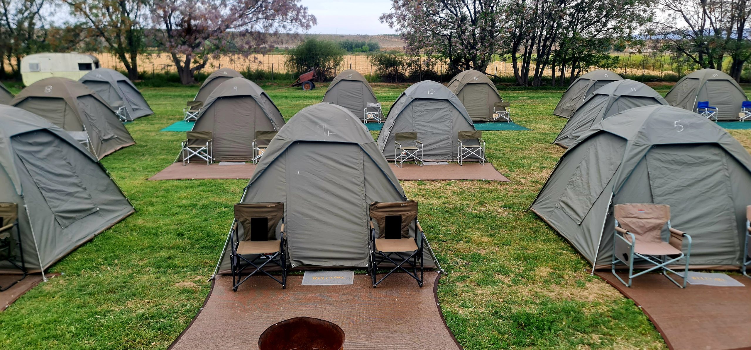 Tent Rental