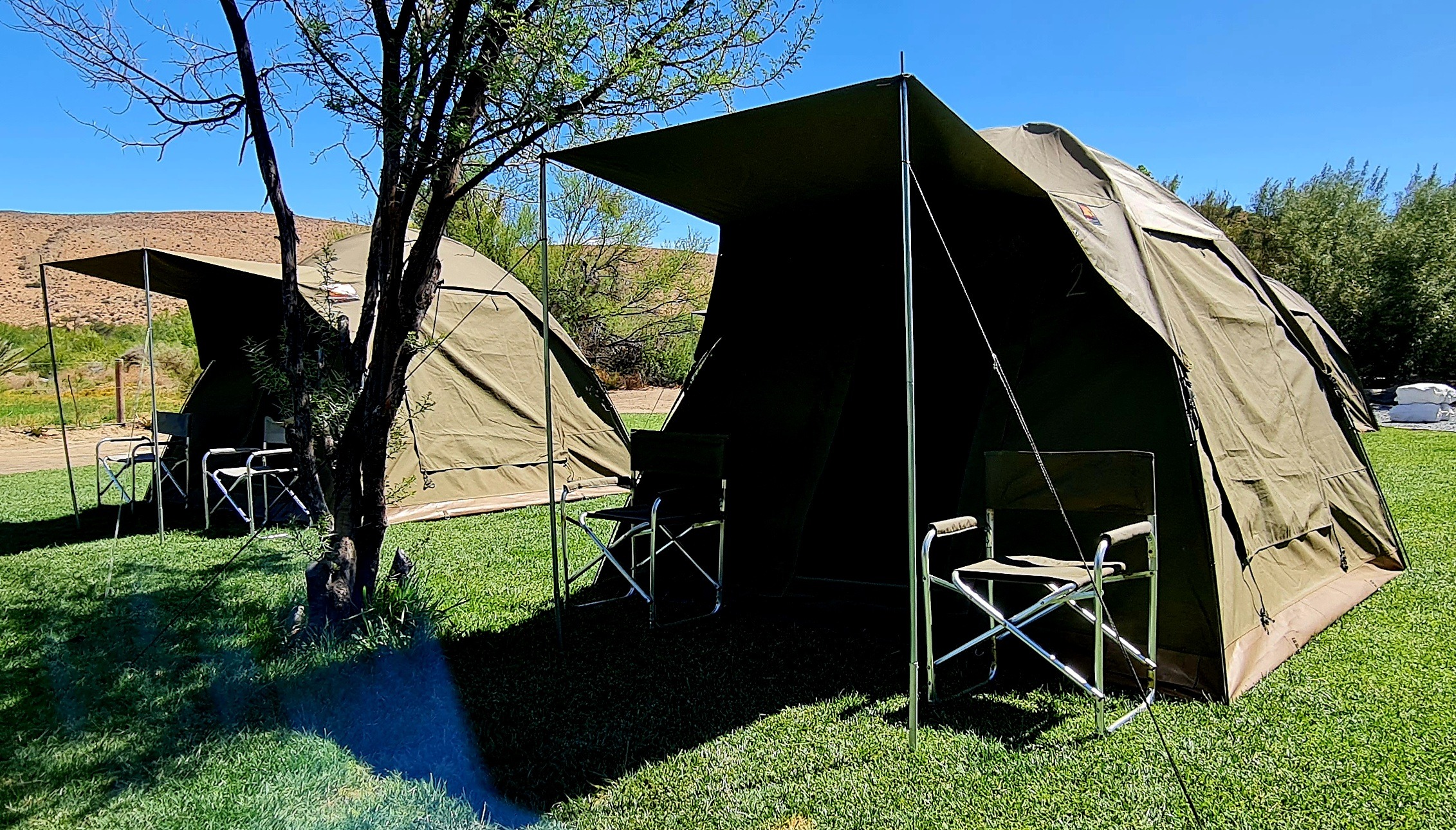 Tent Rental