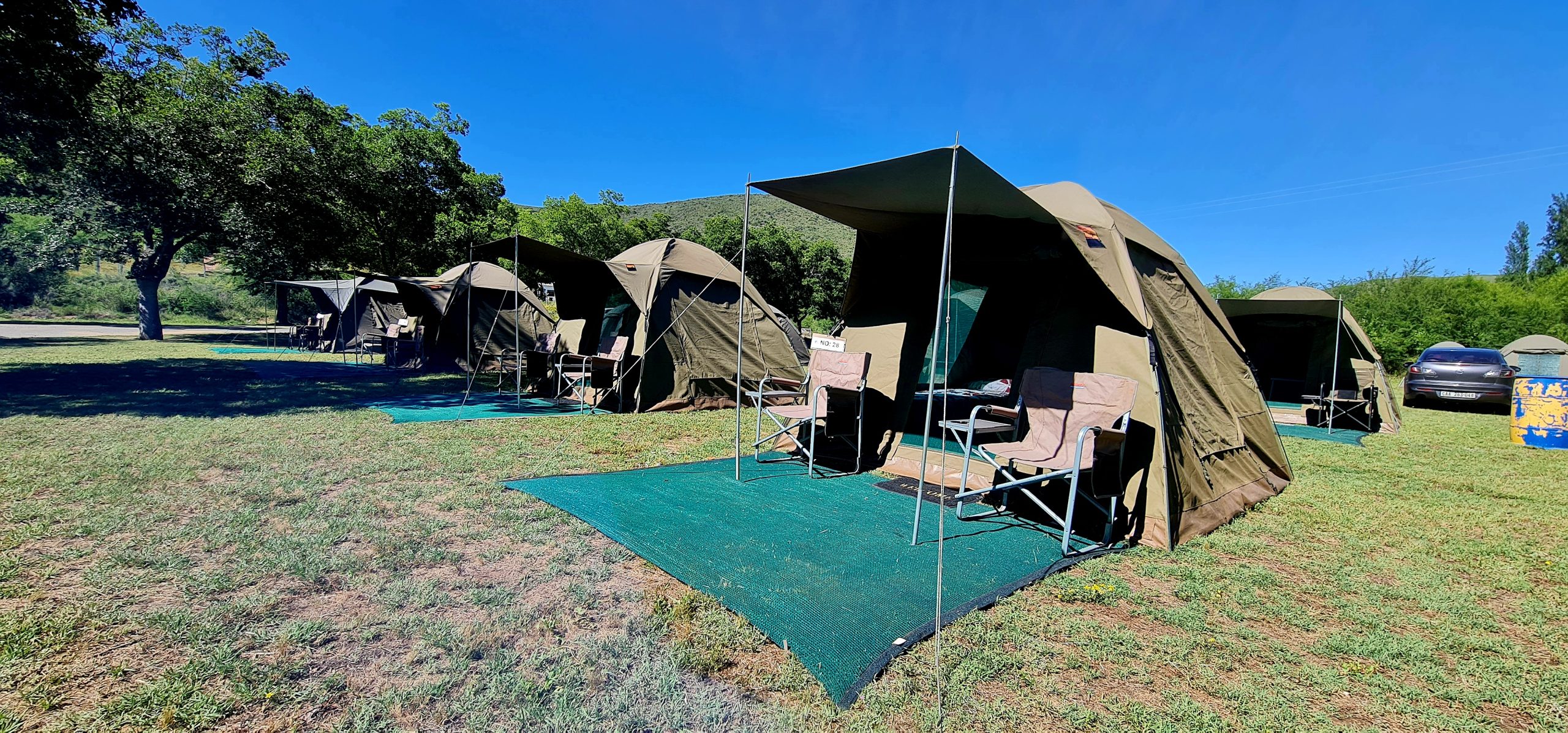 Tent Rental