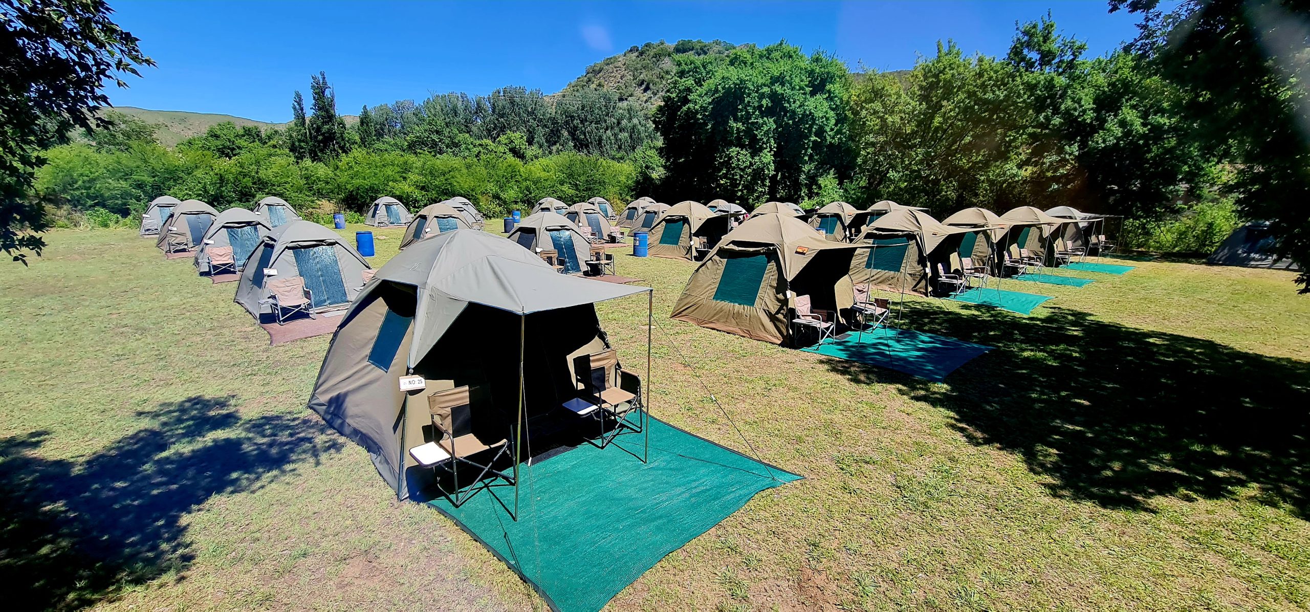 Tent Rental