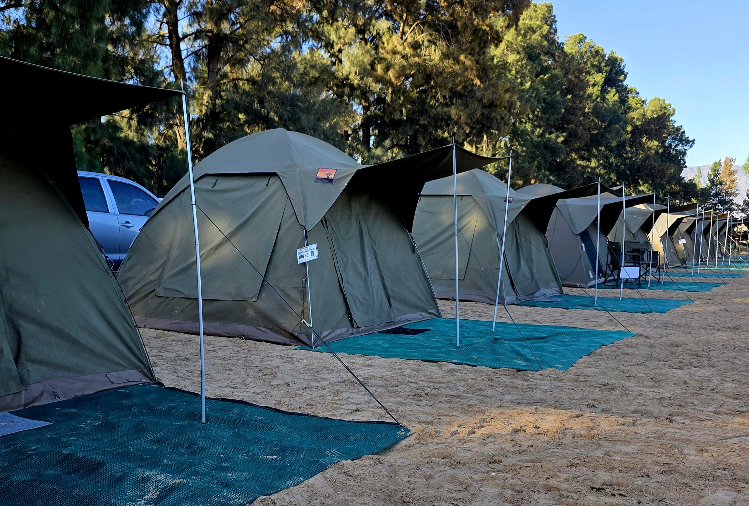 Tent Rental